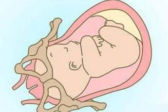 胎儿多少周入盆
