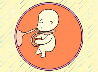 影响孕妇分娩方式的因素有哪些