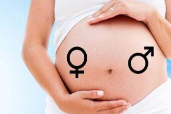 孕前饮食对生男生女的影响