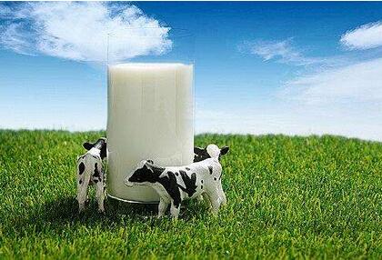 牛初乳的作用有哪些