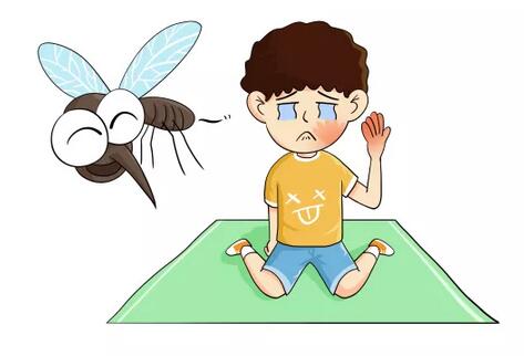 夏日防蚊大作战，这些方法安全有效