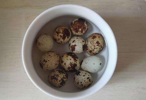 煮鹌鹑蛋的方法