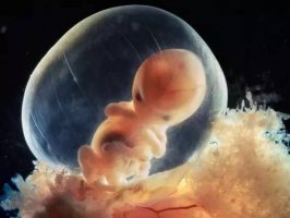 胎儿在娘胎里的样子，超乎你的想象