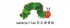 caterpillar怎么读音标
