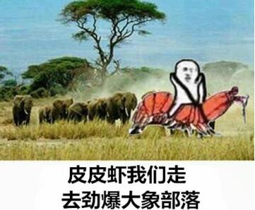 jbdxbl什么意思？劲爆大象部落是什么梗？