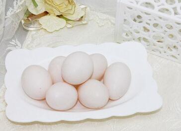 鸽子蛋的营养价值 鸽子蛋怎么吃最营养