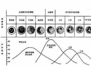 孕酮正常值是多少 孕酮低怎么办