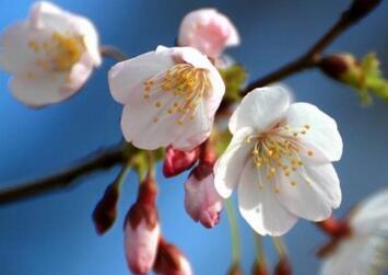 2019年今年春节期间天气怎么样预测