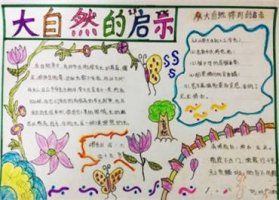 小学生大自然的启示手抄报内容图片