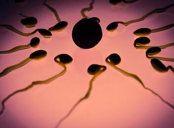 男人的精子能吃吗 吃精子的好处