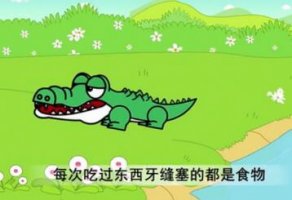 鳄鱼与牙签鸟的故事