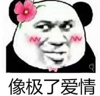 像极了爱情是什么梗