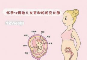 怀孕三个月症状有哪些