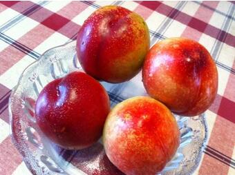 哺乳期能吃油桃吗