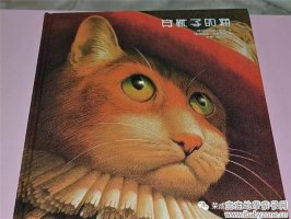 穿靴子的猫