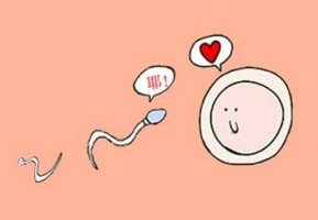 女人吃精子会怀孕吗 吃精子会怎么样