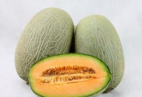 孕妇可以吃哈密瓜吗