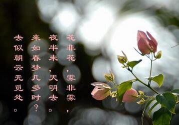 白居易花非花赏析