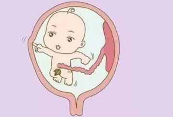 胚芽大小与孕周关系