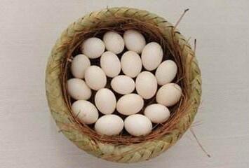 孕妇吃鸽子蛋的注意事项