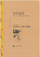 菲茨杰拉德《夜色温柔》简介主要内容、读后感