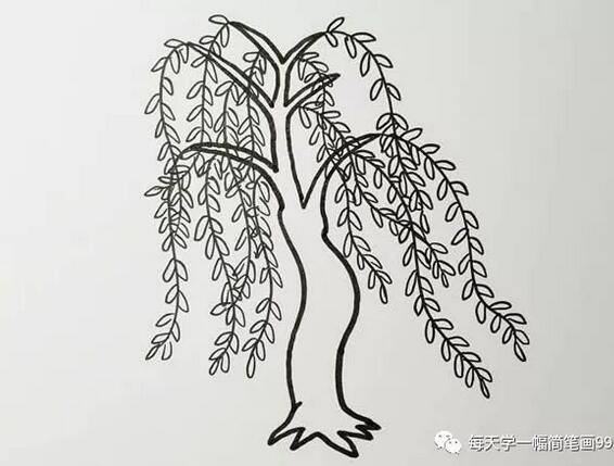 柳树简笔画彩色画法步骤