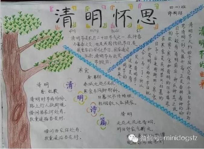 小学生清明节手抄报内容图片