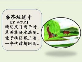 杨万里桑茶坑道中古诗带拼音版 诗意及赏析