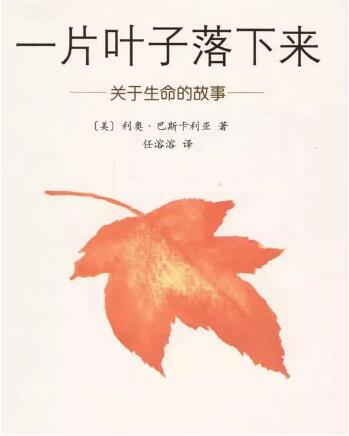 《一片叶子落下来》