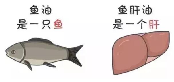 鱼油和鱼肝油的区别是什么