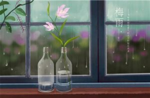 2020年梅雨季节是什么时间