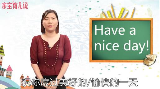 nice是什么意思