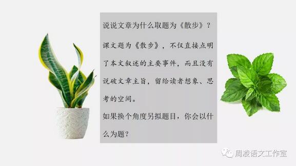 《散步》教案教学设计