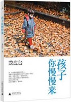 龙应台作品《孩子你慢慢来》简介、读后感