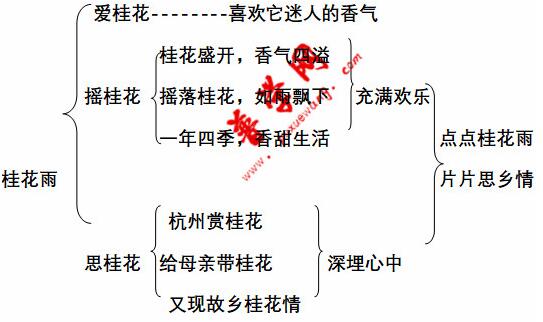 《桂花雨》教案教学设计