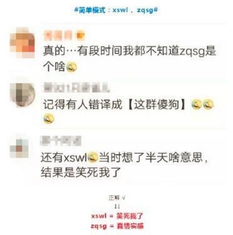 ghs网络语什么意思