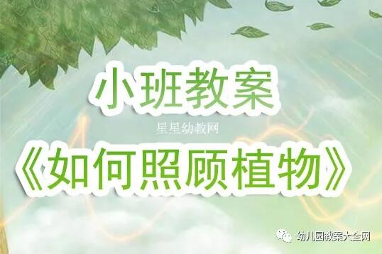 幼儿园小班教案《如何照顾植物》