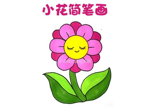 漂亮的花朵简笔画