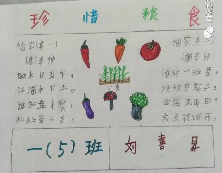 学校珍惜粮食手抄报图片展示