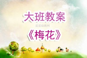 幼儿园大班《梅花》教案及反思