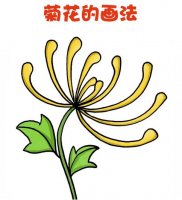 重阳节菊花简笔画教程图片