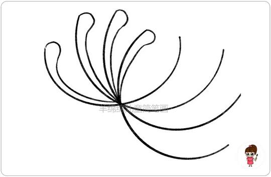 重阳节菊花简笔画教程图片