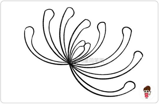 重阳节菊花简笔画教程图片