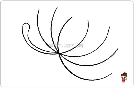 重阳节菊花简笔画教程图片