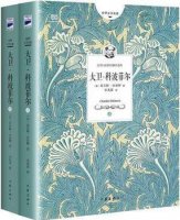 《大卫科波菲尔》读后感300字