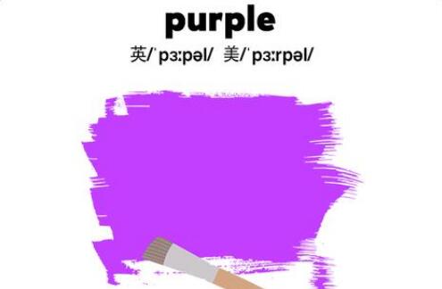 紫色的英语purple怎么读 英语学习 宝贝宝贝网