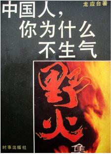 龙应台作品推荐：孩子，你慢慢来