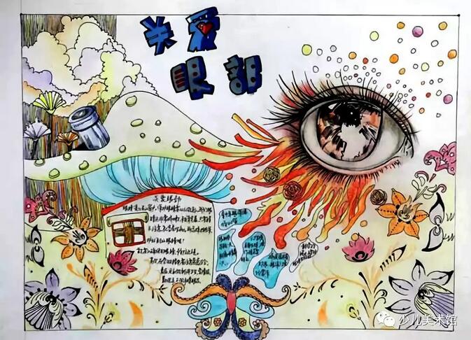 爱眼护眼手抄报内容图片