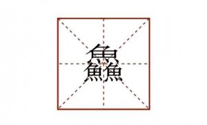 三个鱼字念什么 鱻读什么