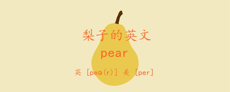梨子的英文pear怎么读音标 英语学习 宝贝宝贝网